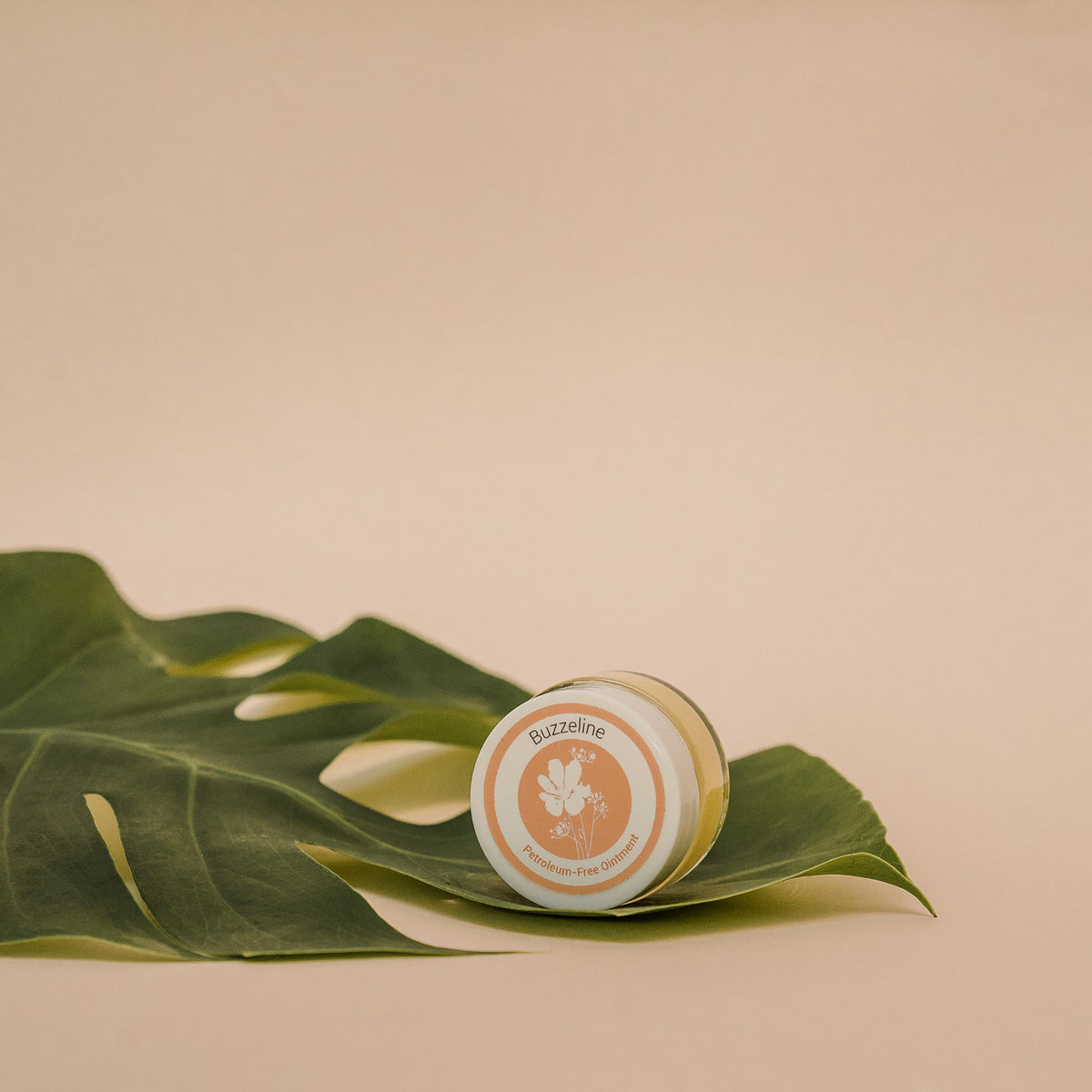 non petroleum jelly
bees jelly